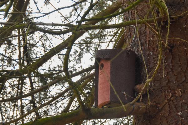 These birdhouses are made of recycled material and keep out the squirrels.