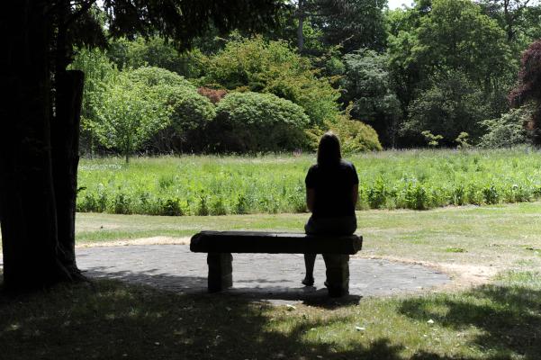 A student enjoys a view of the Leckhampton prairie garden from a bench